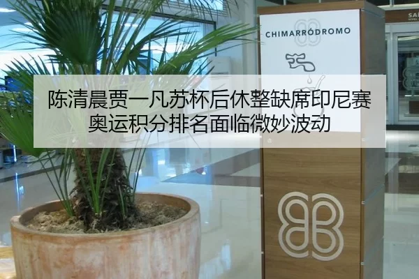 陈清晨贾一凡苏杯后休整缺席印尼赛 奥运积分排名面临微妙波动
